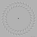The circle within