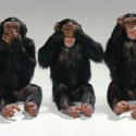  hear no evil see no evil speak no evil