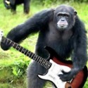  monkey guitar