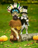 Thanksgiving cat and dog