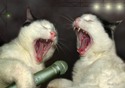 singing cats 
