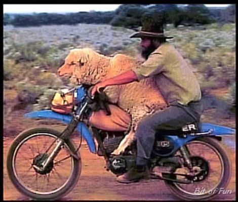 Date in the OutBack