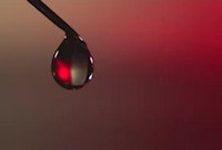 Amazing Drop of Water