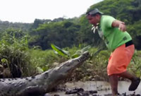 Costa Rican Crocodile