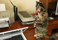 Kitty Versus Copier 