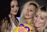 Party Puppet