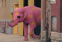 I Saw A Pink Elephant