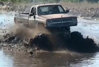 Playing In The Mud