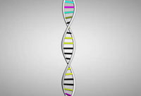 Things You Should Know About Genetics