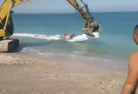 Unusual Thrill Ride
