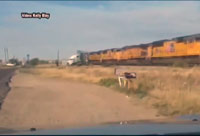 Train Versus Truck