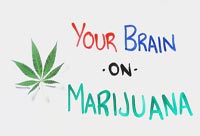 Your Brain on Marijuana