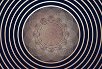 Symmetry
