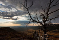 Wyoming Wildscapes