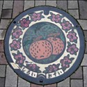 Chinese manhole cover