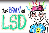 Your Brain on LSD and Acid
