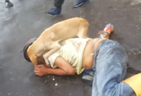 A Dog Defending His Fallen Owner