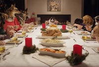 Holiday Feast - 13 Dogs and 1 Cat Eating with Human Hands
