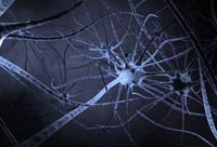 The Reason You Can’t Concentrate Anymore