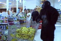 15 years of Pranks
